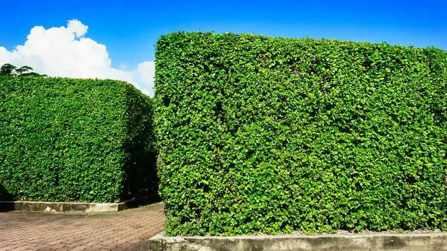 文登市边坡绿化工程
