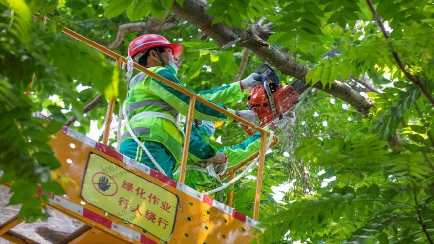 2017园林景观设计行业