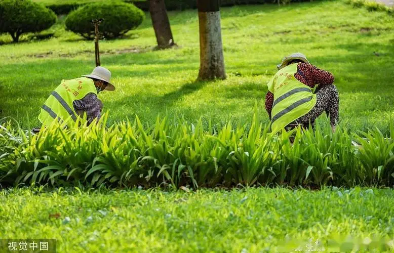 花山花锦园林景观设计