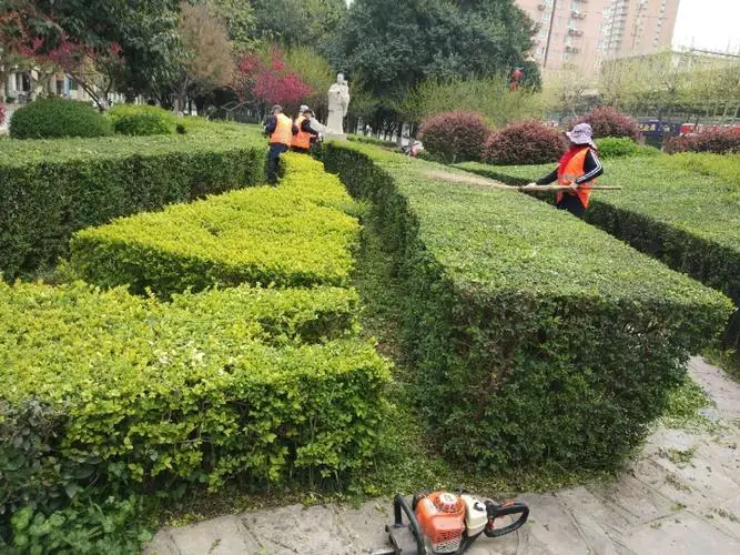 昆明大学绿化工程